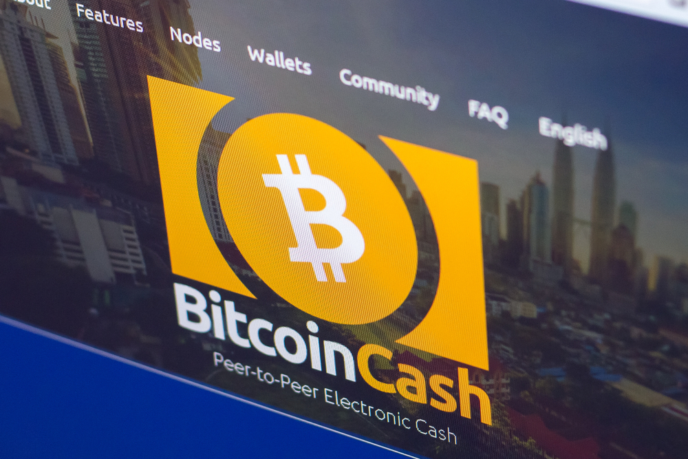 BCH Bitcoin Cash Gizlilik