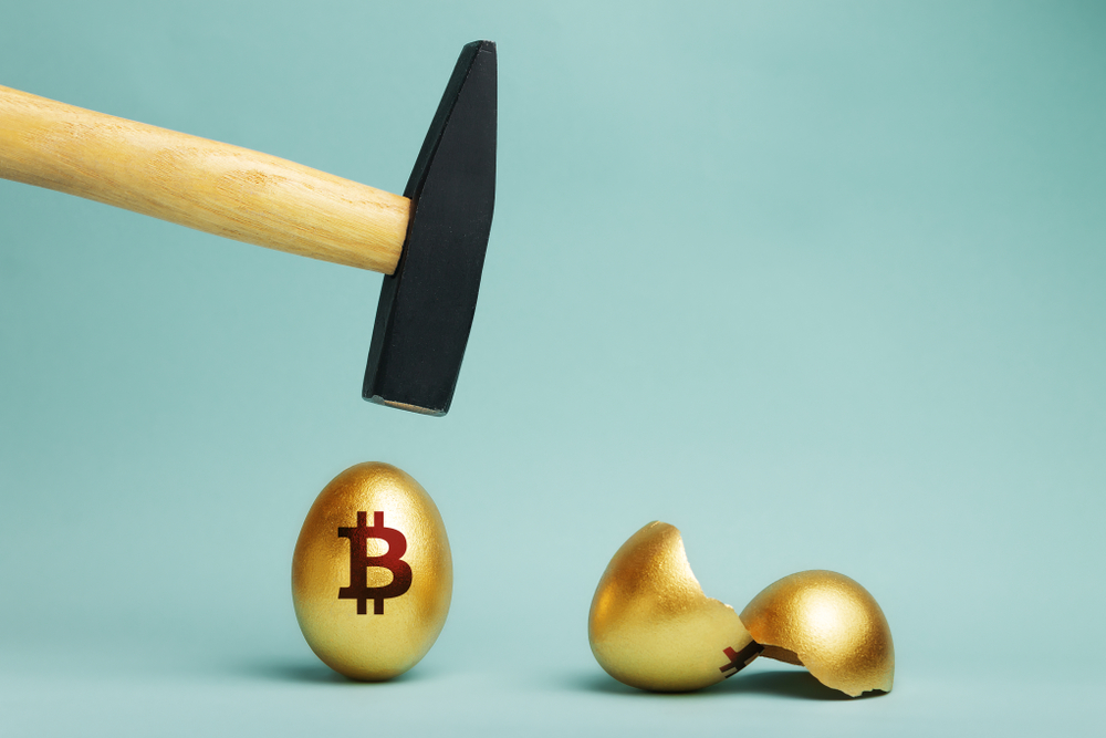 Bitcoin Cash ile Tavuk Yemleme