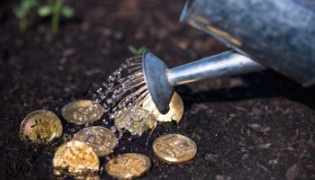 Bitcoin Fiyat Analizi