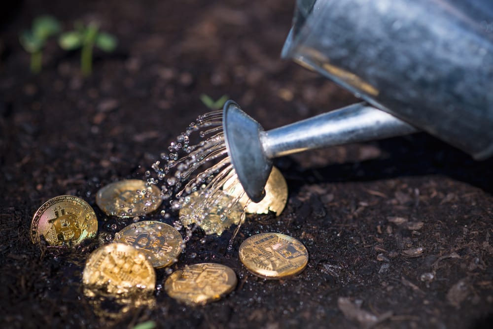 Bitcoin Fiyat Analizi