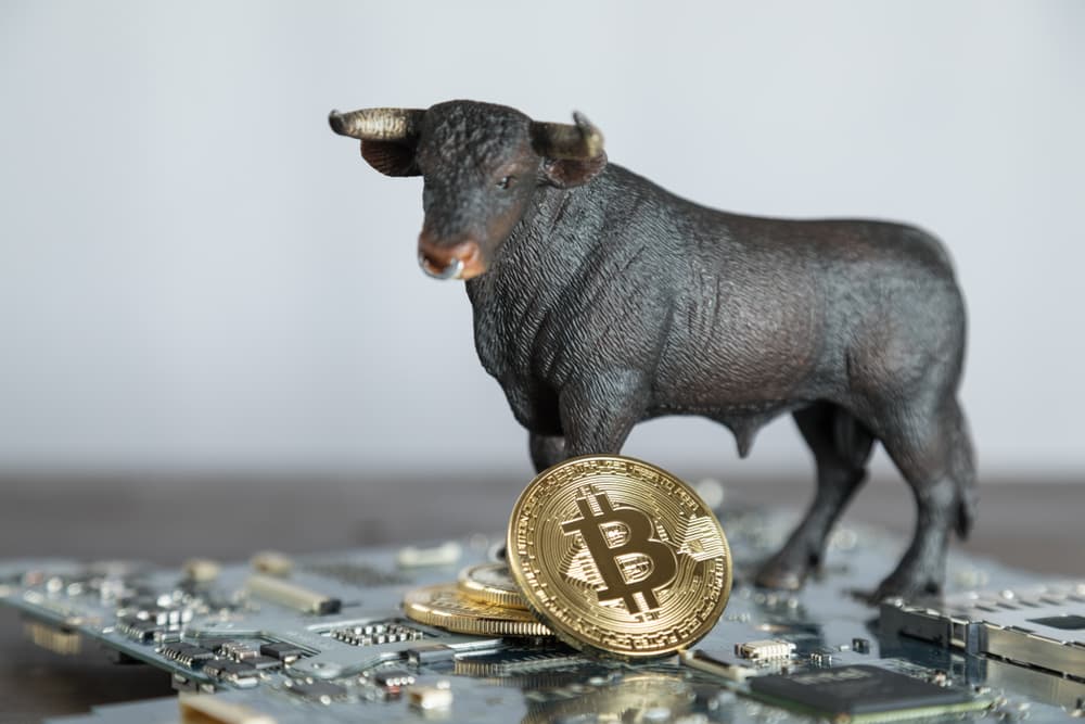 Kripto Para Piyasası Boğa Piyasası