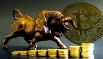 Çinli Bitcoin Boğası Zhu Fa