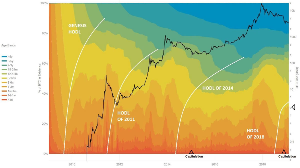Bitcoin Hodl