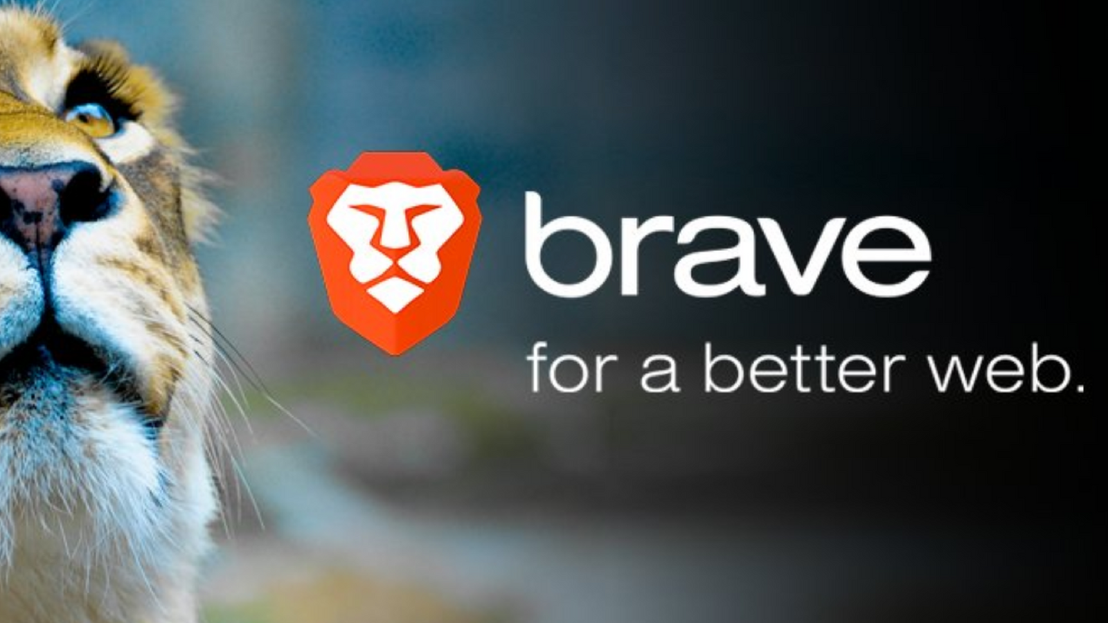Vitalik Buterin Brave Browser