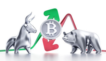 Bitcoin Boğaları ve Bitcoin Ayıları