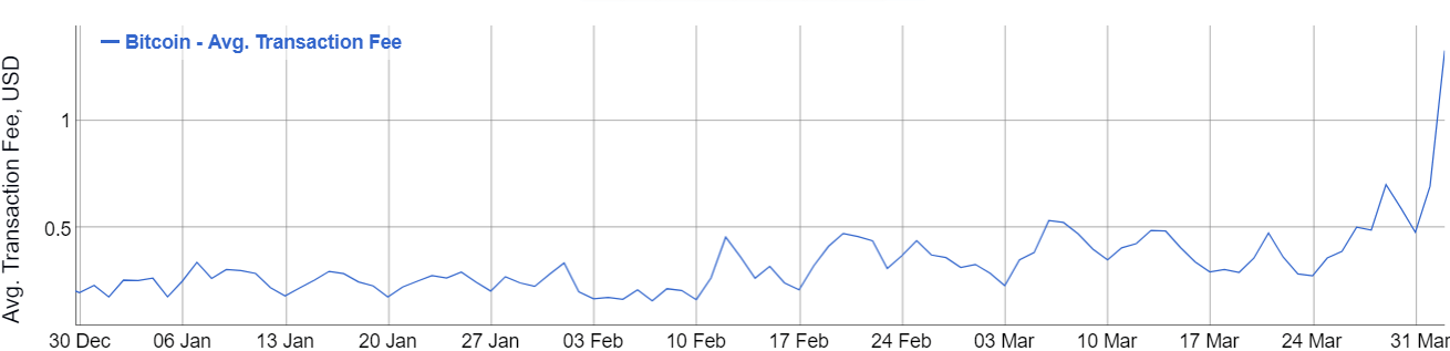 Bitcoin İşlem Ücretleri