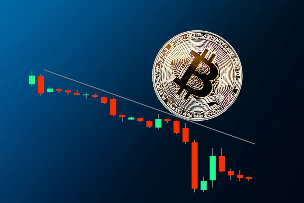 Bitcoin Rallisi