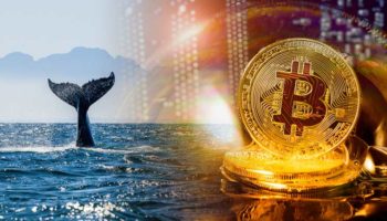 Bitcoin Balinaları 2