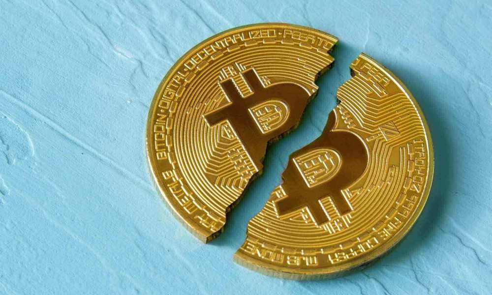 Bitcoin Halving Yarılanma