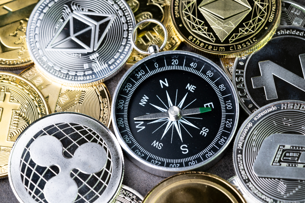 Altcoin Rallisi