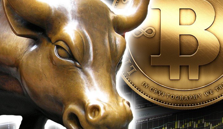 Bitcoin Boğa Koşusu