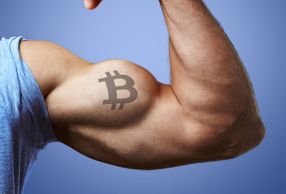 Bitcoin Hakimiyeti
