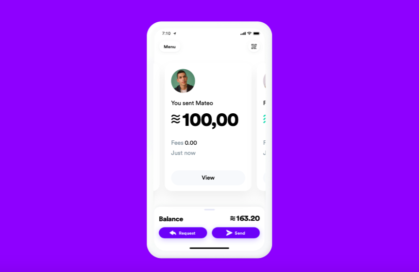Calibra Libra Coin Cüzdanı