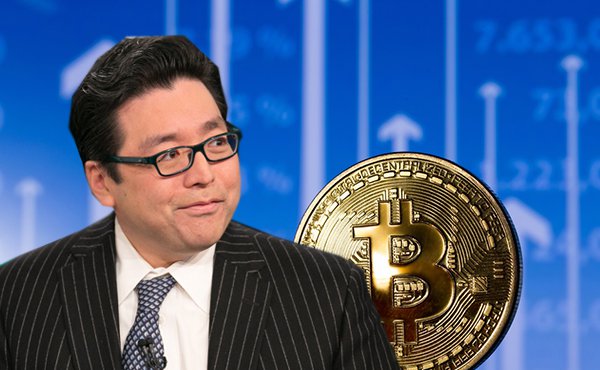 Tom Lee Bitcoin
