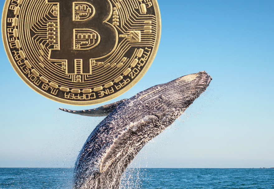 Bitcoin Balinaları