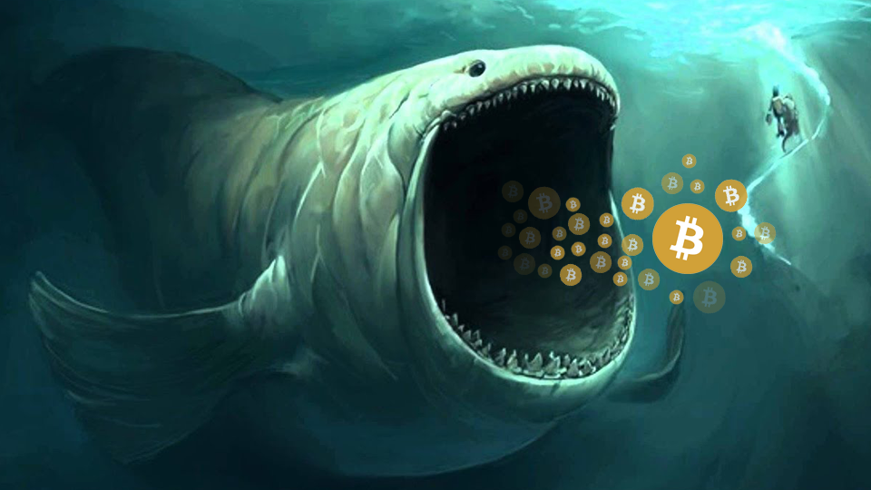 Bitcoin ve Ripple Balinaları Harekete Geçti
