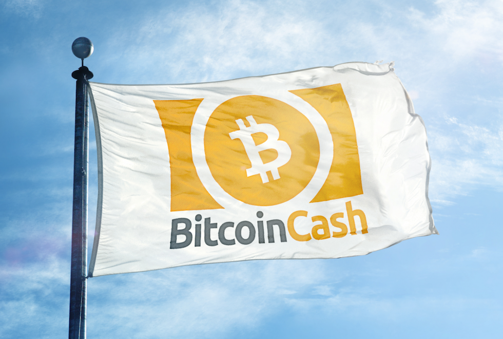 Tutarlı Öngörüleriyle Bilinen İsimden Korkutan Bitcoin Cash Tahmini