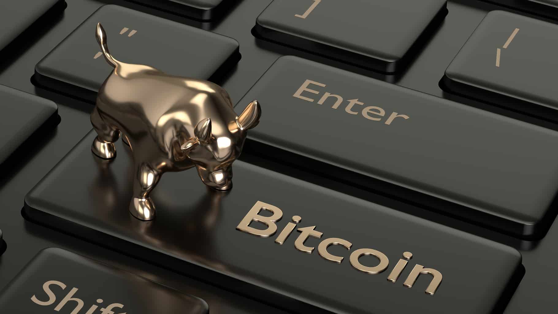 BTC bullrun