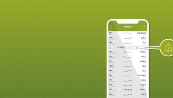 Paribu fiyat alarmı