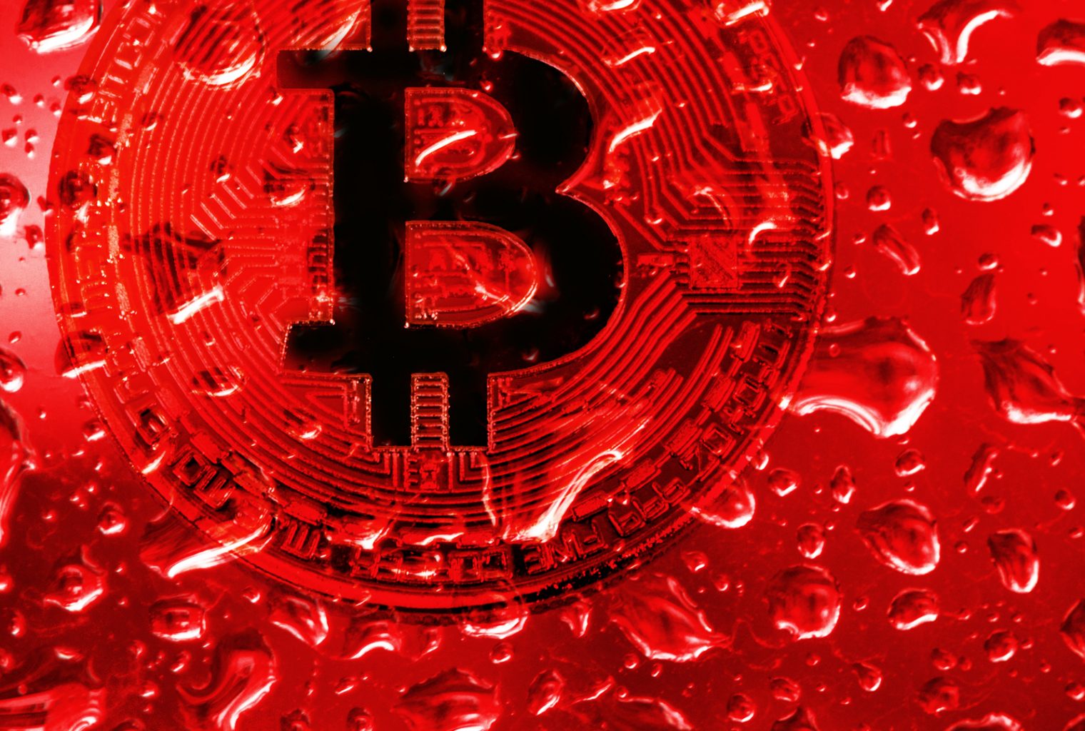 Bitcoin BTC Bundan Dolayı mı Düşüyor Tuur Demeesterdan İlginç İddia
