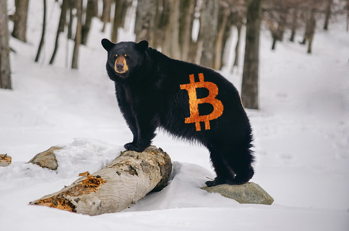 bitcoin btc
