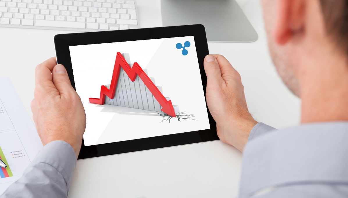 xrp riplle analist