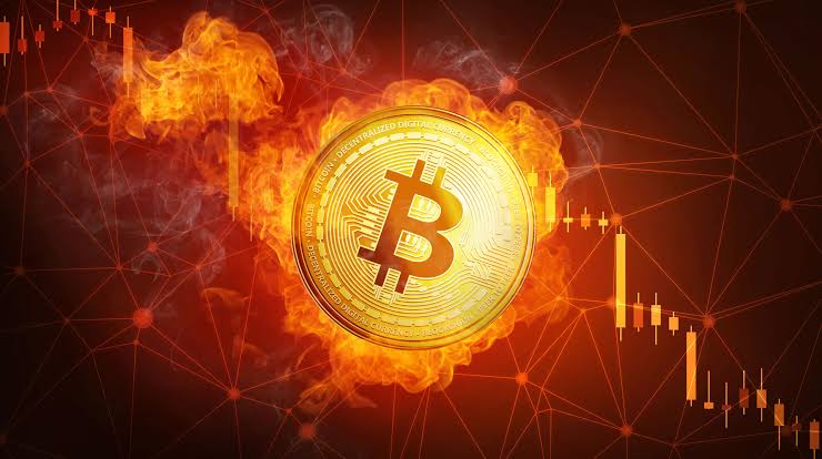 Bitcoin BTC 8 Bin Doların Altına Düştü