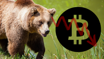 Bitcoin BTC Fiyat Eylemi 2014 Ayı Piyasasıyla Tutarlı Kaldı