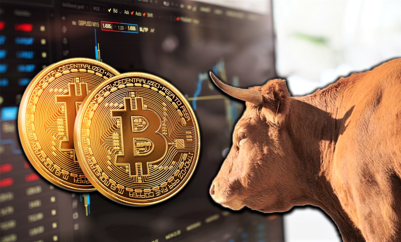 Bitcoin Boğa