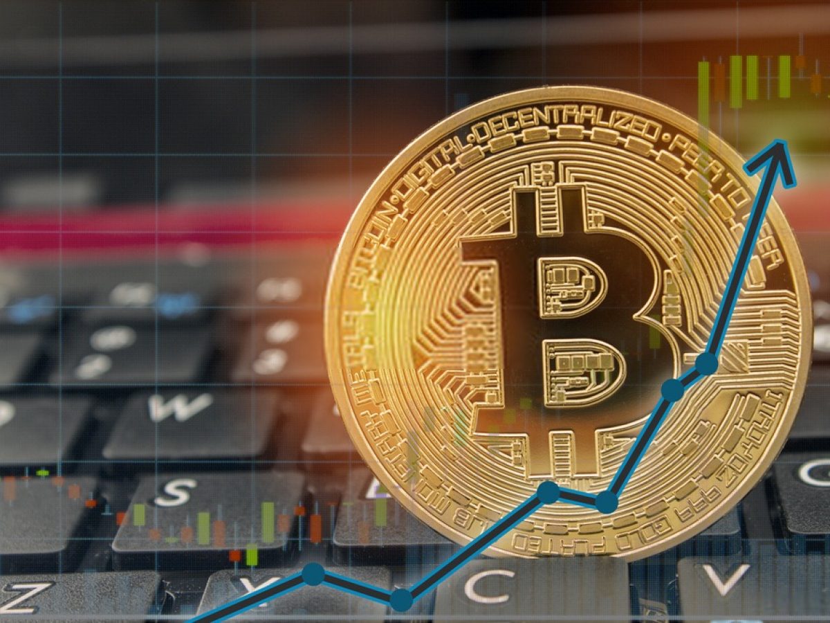 2013 ocak bitcoin fiyatı