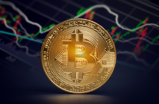 Bitcoin İşlem Hacmi