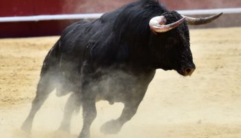 Bitcoinin BTC Tüm Zamanların En Yüksek Seviyesine Yolculuğu Başladı