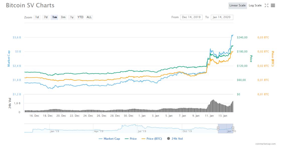 bitcoin SV 1 aylık grafik
