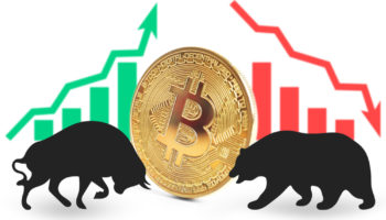 btc ayı bitcoin