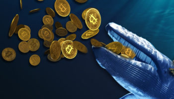 Bitcoin BTC Balinası Kripto Para Yatırımcılarını Uyardı