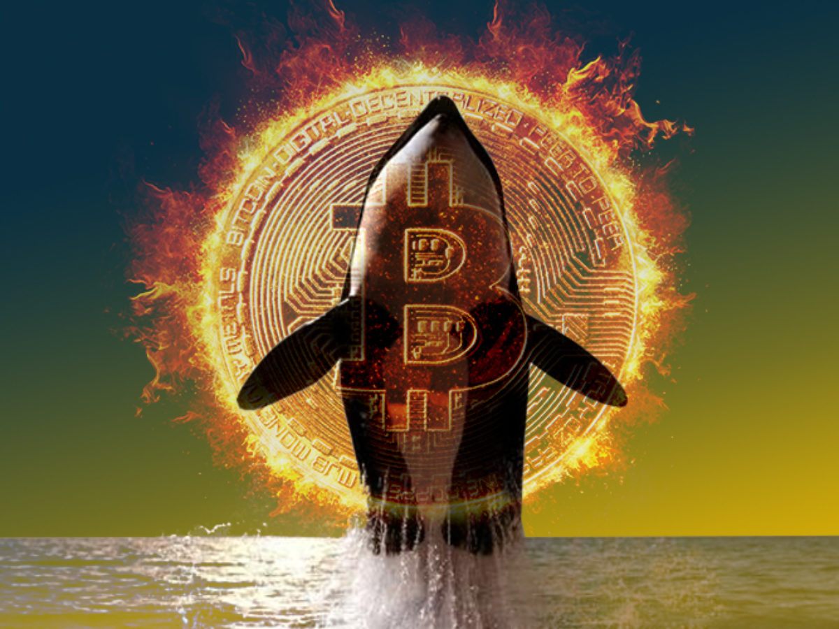 Bitcoin BTC Balinasından Kuşku Uyandıran 4847 Milyon Dolarlık Transferler