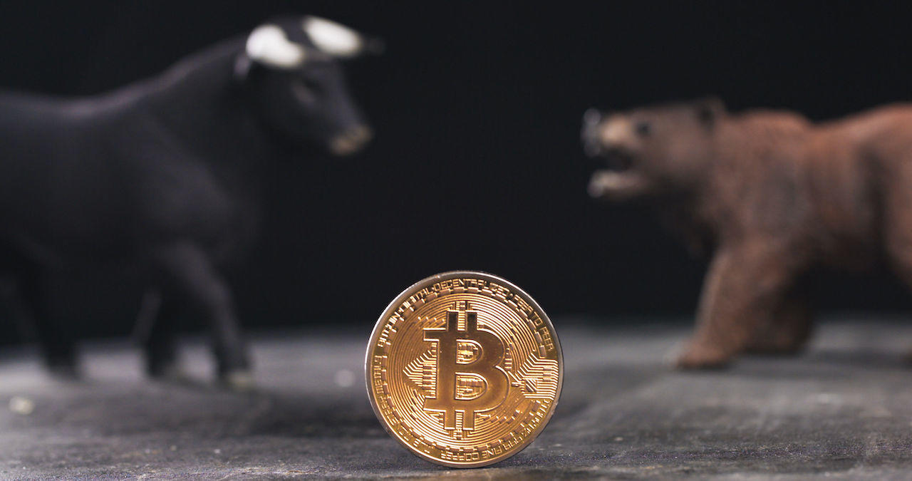 Bitcoin Boğa vs Ayı