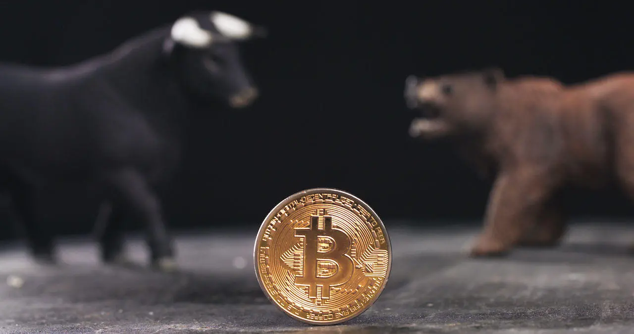Bitcoin Boğa vs Ayı