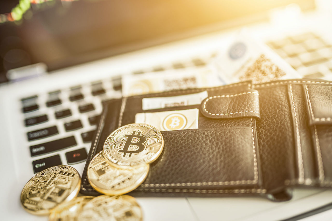 Bitcoin Cüzdanları