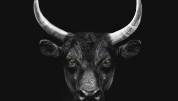 Bitcoin’in BTC Patlama Eşiğinde Olduğunu Gösteren 7 Boğa Sinyali