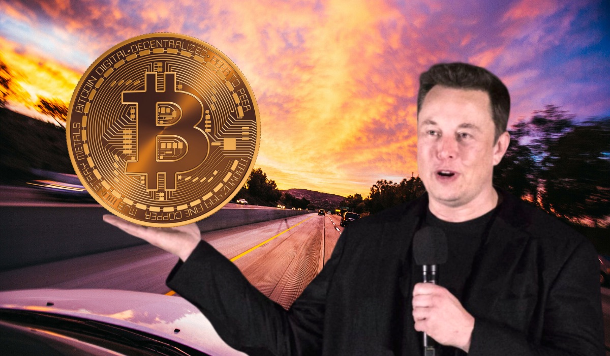 Elon Musk Kripto Para Dolandırıcıları