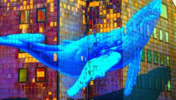 Bitcoin BTC Balinaları Yine Piyasayı Manipüle Etti Mi