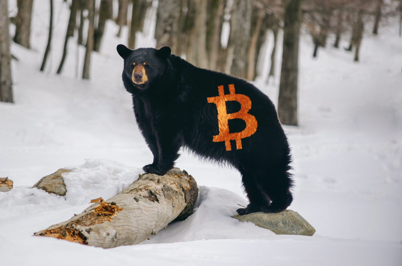 Bitcoin Satoshi