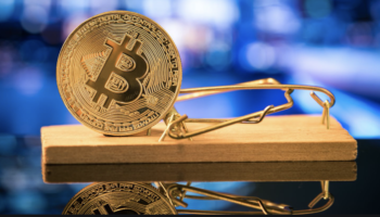 Bitcoin ayi tuzagi