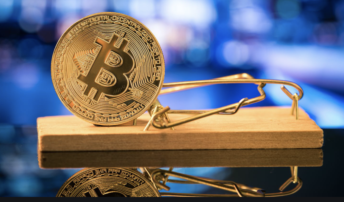 Bitcoin ayi tuzagi
