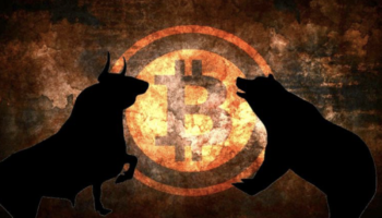 Bitcoin ayi ve bogalar