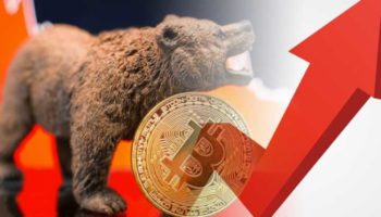 Bitcoin ayı
