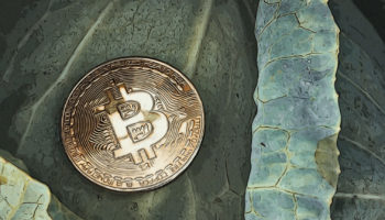Bitcoin satin al sinyali kopya