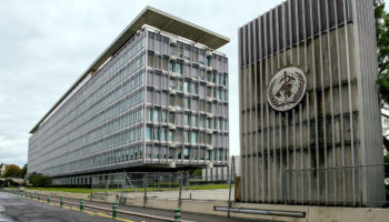 Dünya Sağlık Örgütü WHO