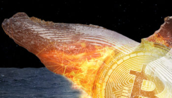 bic btc bitcoin whale wallet 1200x900 1